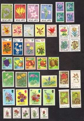 WORLD LOT OF FLOWERS & FRUIT SETS x 10  -MINT