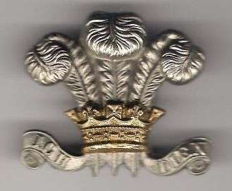 ROYAL WILTSHIRE YEOMANRY(Prince of Wales Own Royal Amoured Corps)OFFICERS CAP BADGE
