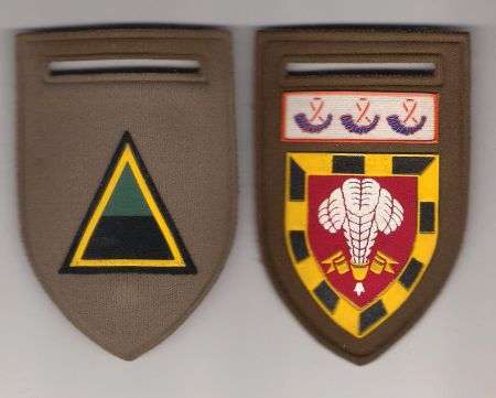 1st SAI South African Infanrty & ALPHA COMPANY OFS COMMAND Tupper Flashes