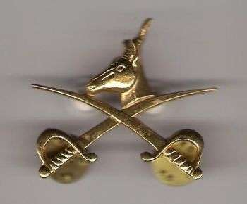 SADF PT INSTRUCTOR METAL BADGE