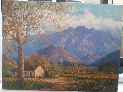 CASEY VAN DER LEEK *great grandson of tinus de jongh*