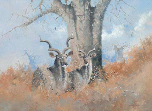 Neil janse van NIevenhuizen oil on canvas on board 55 x 40 cm