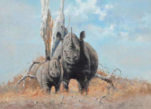 Neil janse van NIevenhuizen oil on canvas on board 55 x 40 cm