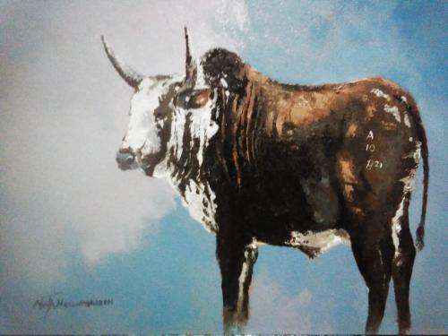 Neil janse van NIevenhuizen SIGNED oil on canvas on board 35 x 25 cm nguni