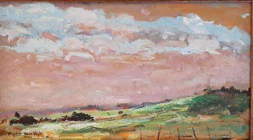 RARE FRAMED BERT VAN WYK SIGNED oil on canvas on board 35 x 17.5 cm