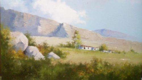 Neil janse van NIevenhuizen SIGNED oil on canvas on board 35 x 25 cm