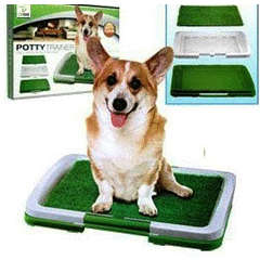 Puppy Training Potty Pad