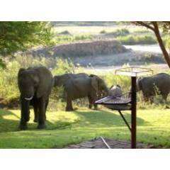 Bargain Ngwenya Lodge 17 - 21 Oct 2016 (8 Sleeper)