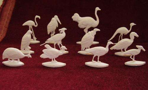 FANTA BIRDS OF AFRICA - FULL SET OF 12 - DIFFICULT TO FIND