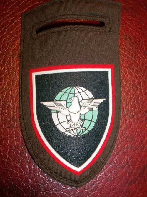 1 TAC Intellegence Regiment