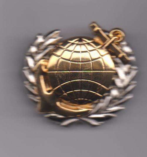 SA Marines gold and silver badge 2 pins