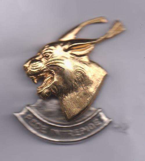 Regiment Pretorius beret badge 2 lugs