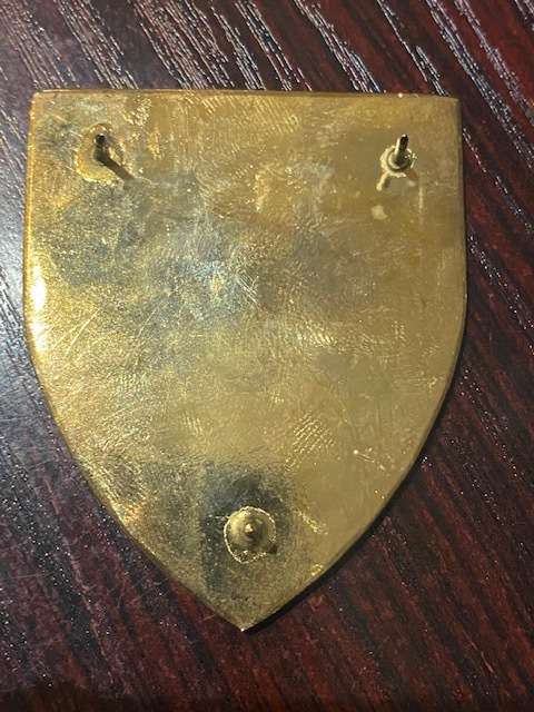 SA Army Training Formation.original 3 pins