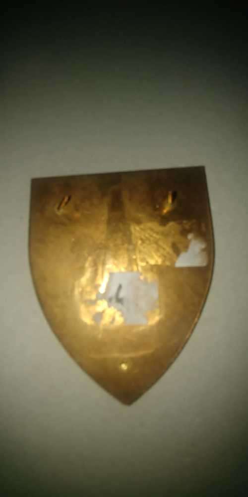 Krugersdorp Commando Flash Two Pins