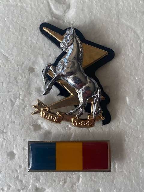 TDK Corps Cap Badge and Bar All Pins
