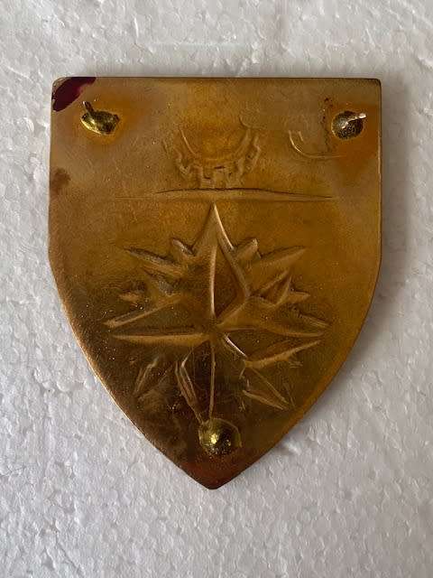 Special Forces Recce Supply Depot Flash All Pins original