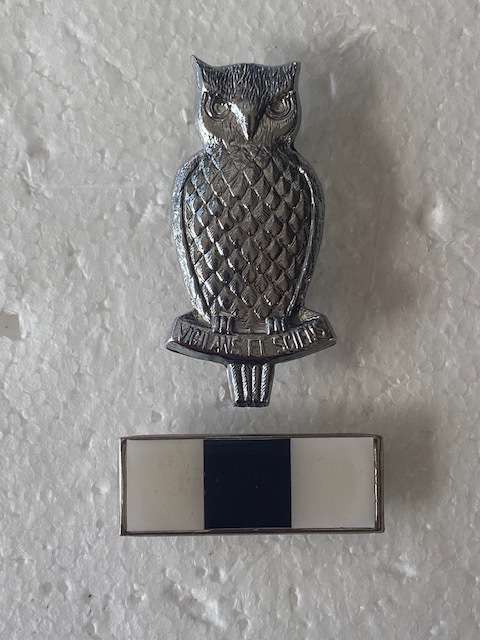 Military Intelligence Cap Badge with Bar All Pins.