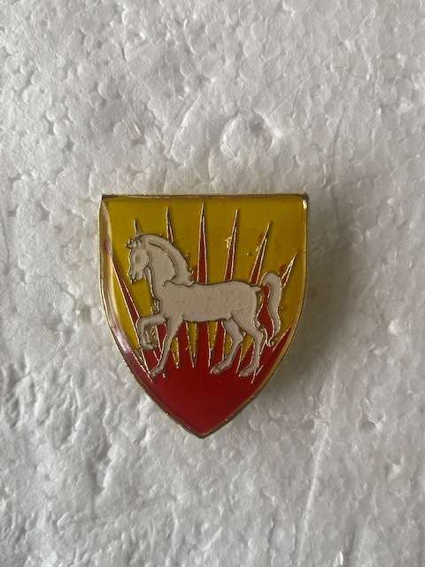 Middelburg Commando Lucite Cap Badge All Pins