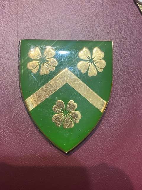 Edenvale Commando Shoulder Flash all pins