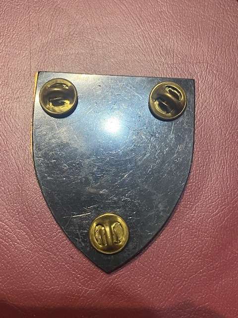 Edenvale Commando Shoulder Flash all pins