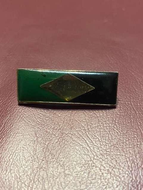 SWATF Beret Bar all pins