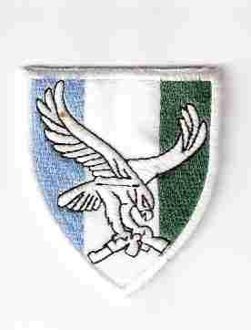 101 BATTALION REACTION FORCE