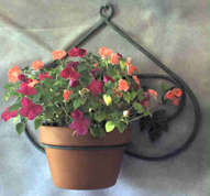Garden Wrought Iron wall plant pot holder                                                     gd1