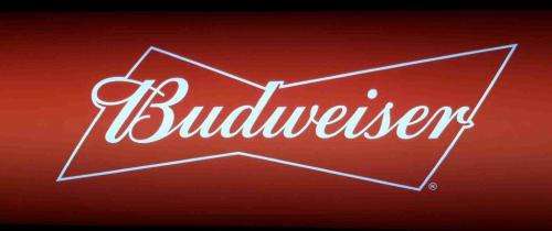 Budweiser pub,bar, man cave,  advert light box . LED.