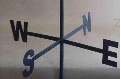 Weathervane Guinea Fowl