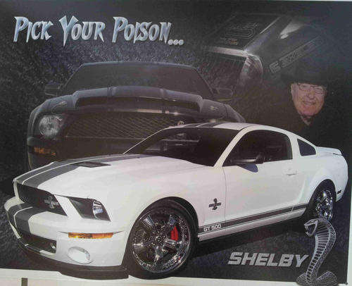 Mustang Shelby. Pick your poison metal sign      mt20