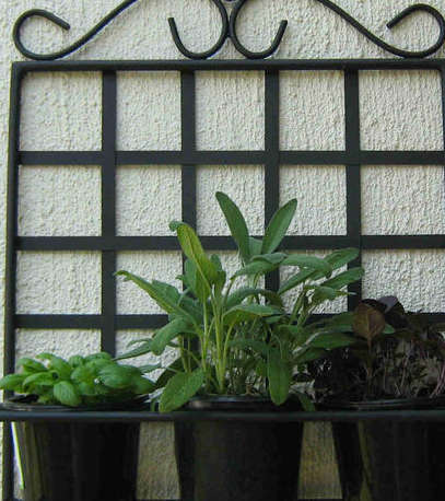 Herb wall Garden shelf