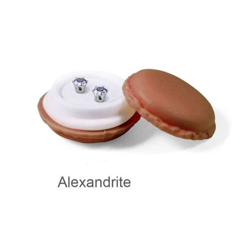 Swarovski Element Earrings in a Macaroon Case | 8 Colours