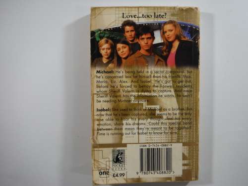 Rosewelll High(Book 5) The Intruder - Melinda Metz