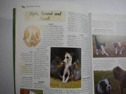 The Encyclopedia of Dog Breeds by Juliette Cunliffe - Softcover