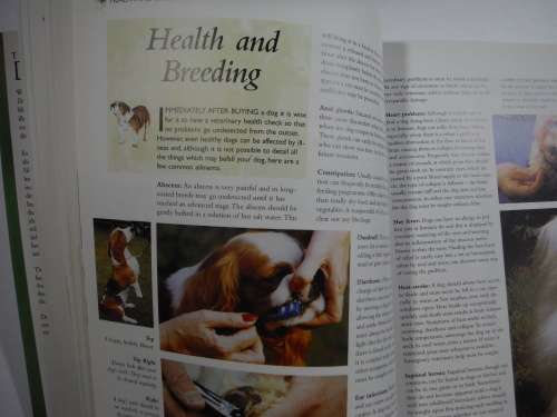 The Encyclopedia of Dog Breeds by Juliette Cunliffe - Softcover