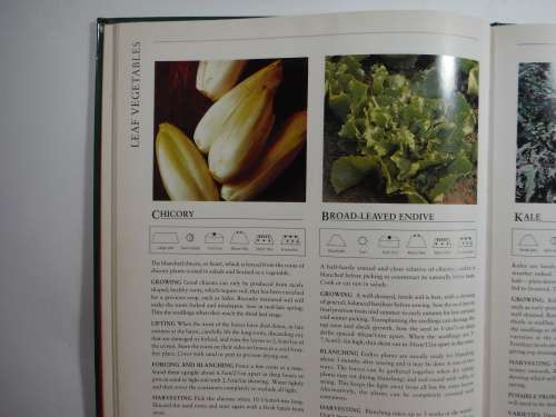 Hamlyn- All Colour Kitchen Gardening - Hardcover