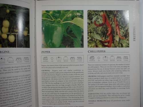 Hamlyn- All Colour Kitchen Gardening - Hardcover