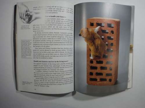 Starting With Hamsters ( SOFTCOVER)Georg Gassner