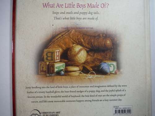 What Little Boys Are Made of : Loving Who They Are and Who They Will Become (HARDCOVER)