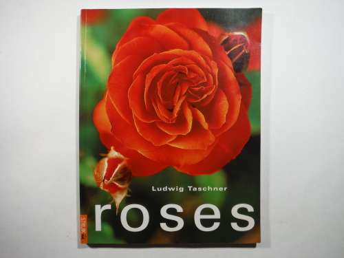 Roses - Softcover - Ludwig Taschner