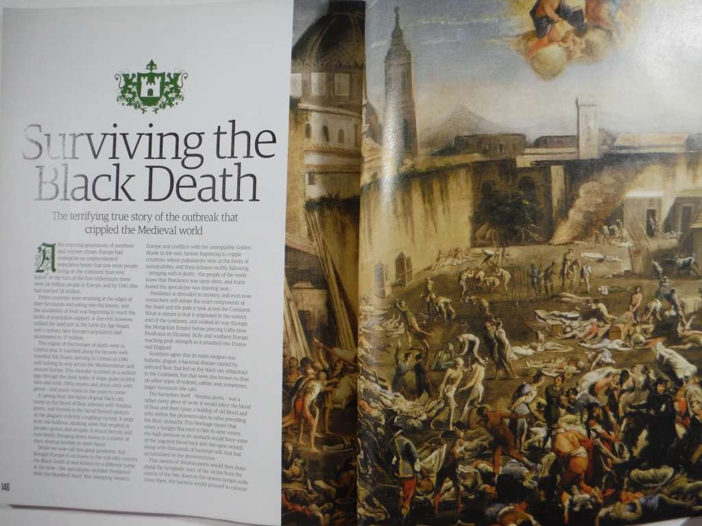 The Curious Minds Series : Medieval History - Softcover