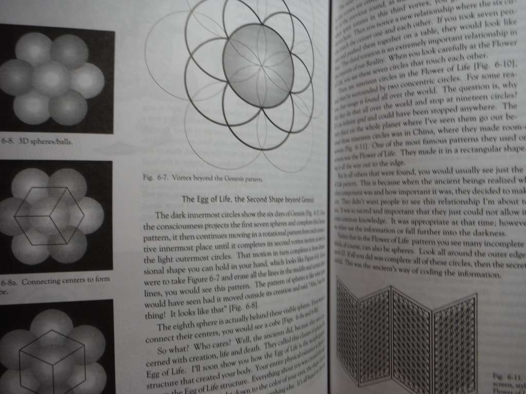 The Ancient Secret of the Flower of Life : Volume 1 - Softcover - Drunvalo Melchizedek