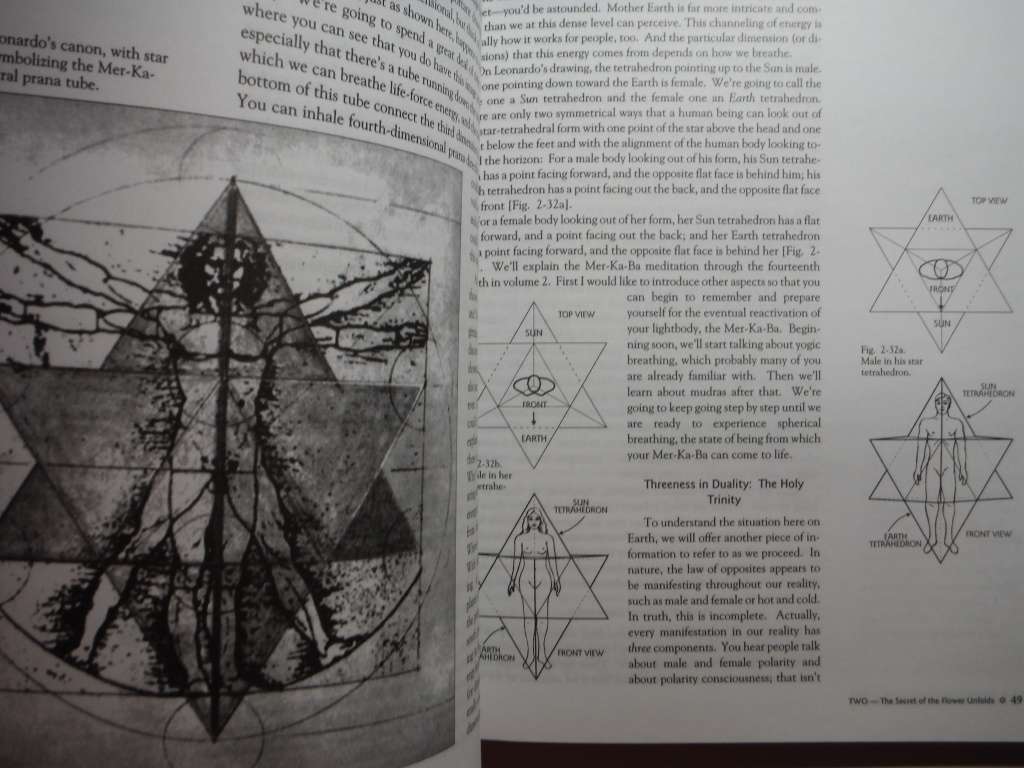 The Ancient Secret of the Flower of Life : Volume 1 - Softcover - Drunvalo Melchizedek
