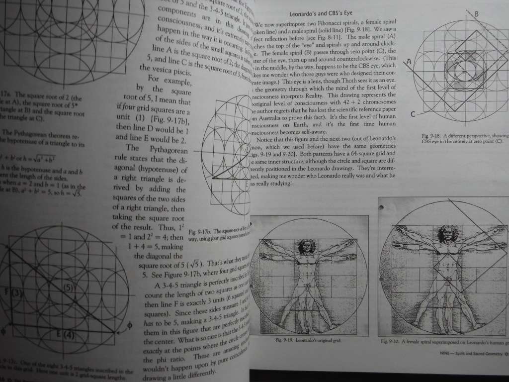 The Ancient Secret of the Flower of Life : Volume 2 - Softcover - Drunvalo Melchizedek