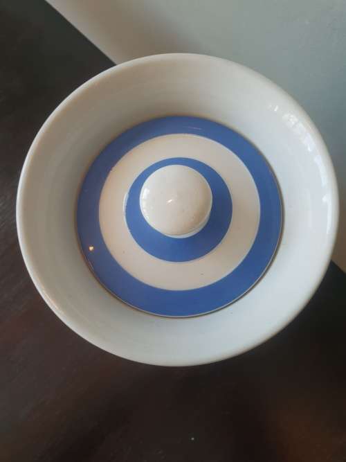 Cornish Kitchen Ware TG Green and Co LTD. storage container and lid!!!