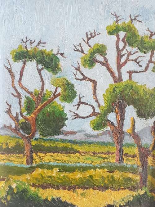 Stunning Oil on Canvas Board!!