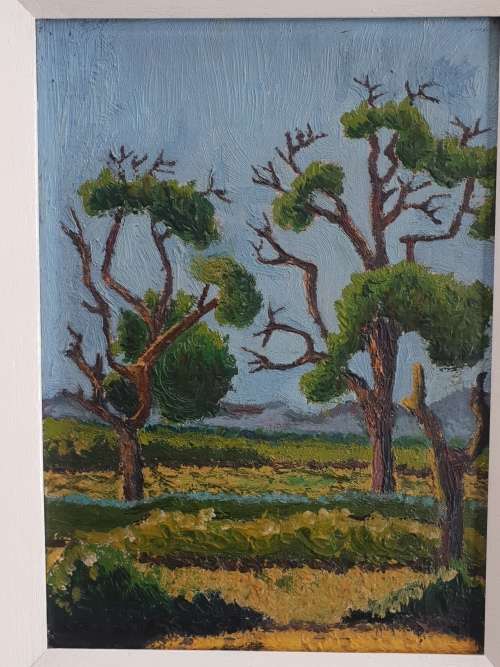 Stunning Oil on Canvas Board!!