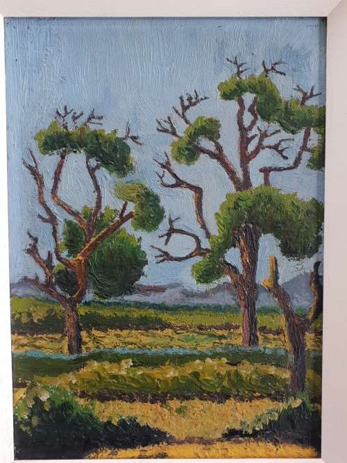 Stunning Oil on Canvas Board!!