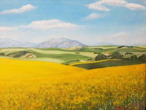 Stunning Overberg Painting!!