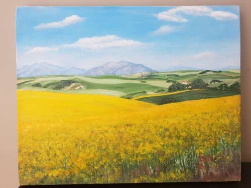 Stunning Overberg Painting!!